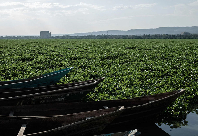 Water and shoreline environment relevant to debris control