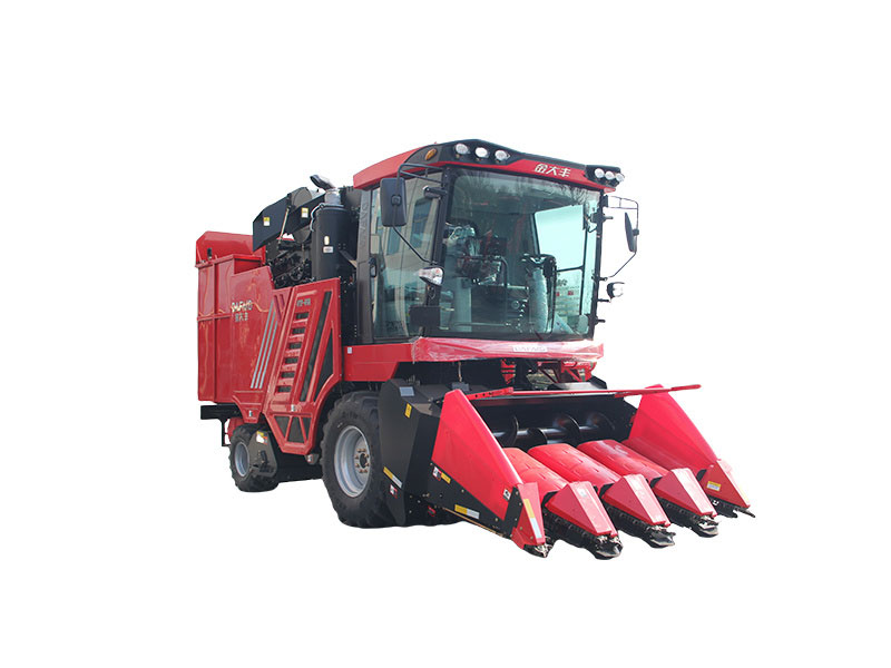Agricultural farmland for maize harvesting machinery