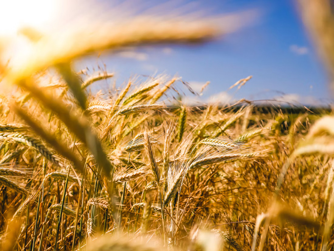Choose Agricultural Machinery That Works for Your Farm
